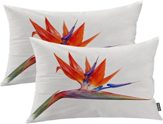 Shrahala Orange Plant Tropical Flower Outdoor Throw Pillow Cover, Flowers Bird of Paradise Lumbar Indoor Pillows Water Resistant Linen for Bedroom Living Room Set of 2 (12 X 20 in)