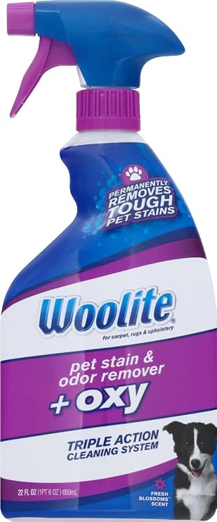 Reckitt Benckiser Woolite Pet Stain, 22 oz