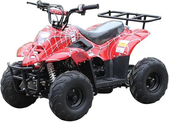 TAO TAO 110cc Gas ATV Fully Automatic ATV 4 Wheeler for KIDS - New SPORTY Black Color PAH110-2SPIBUR