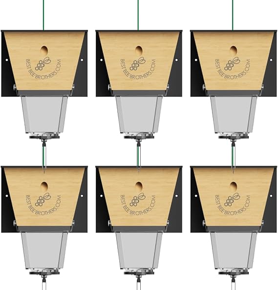 Ultimate Pro Outdoor Carpenter Bee Trap by Best Bee Brothers, Black 6-Pack