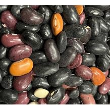 Ayocote Pinto Bean Frijolon Heirloom Seeds for Planting Packet