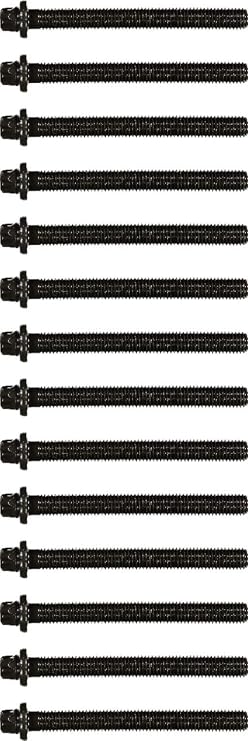 Victor Reinz 14-32002-02 Engine Cylinder Head Bolt Set