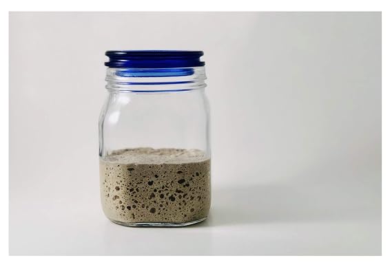 Dark Rye Sourdough Starter Culture Bread Yeast Dehydrated