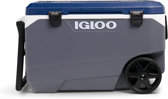 Igloo Backpack Coolers (18-30 Can)