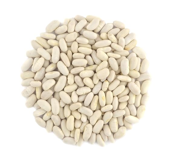 Organic Great Northern Beans,Raw, non GMO, Vegan, Bulk (10LB)