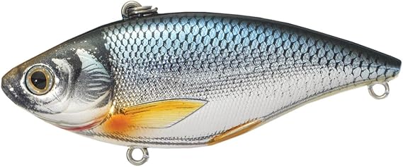 LIVE TARGET Livetarget Golden Shiner Lure 2 7/8 inch Silver/Blue - GS70SK201