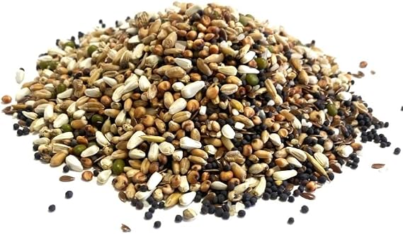 500g Pigeon Condition Seed Mixed Bird Food SJJ