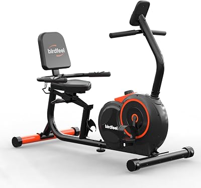 Recumbent Exercise Bike for Home,Heart Rate Handle, Magnetic Recumbent Bikes,Slivery