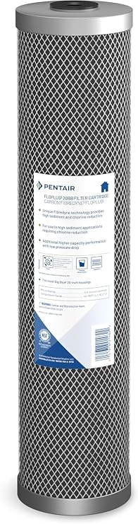Pentair Pentek FloPlus-20BB Big Blue Carbon Water Filter, 0.5 Micron | Modified Molded Carbon Block, 20" x 4.5", Bonded PAC Media, 50,000-Gallon Chlorine Taste and Odor Reduction