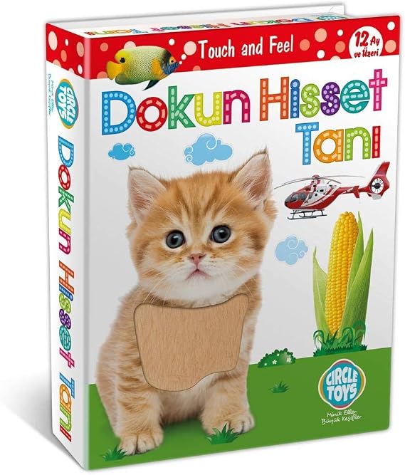 Dokun Hisset Tanı Eğitim Kartları, Zeka Kartları