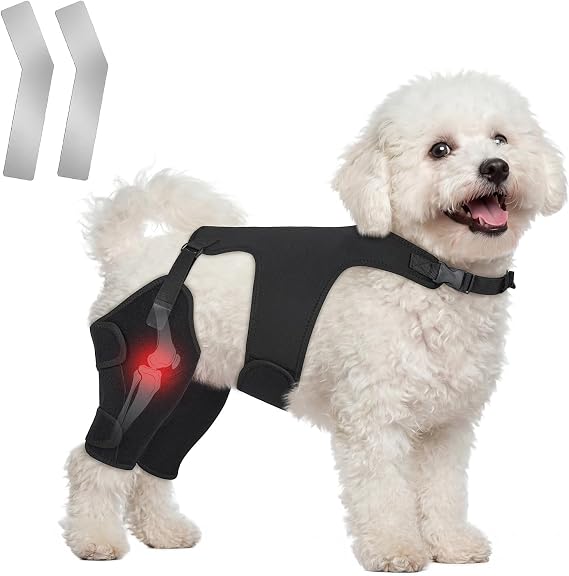 Dog Knee Brace for Torn ACL Hind Leg, Adjustable Non Slip, XS-Vest 1