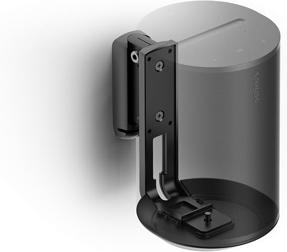 Flexson Floor Stand for Sonos Era 100 Speaker (Black, Pair)