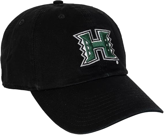 Desert Cactus University of Hawaii Embroidered Baseball Hat Cap