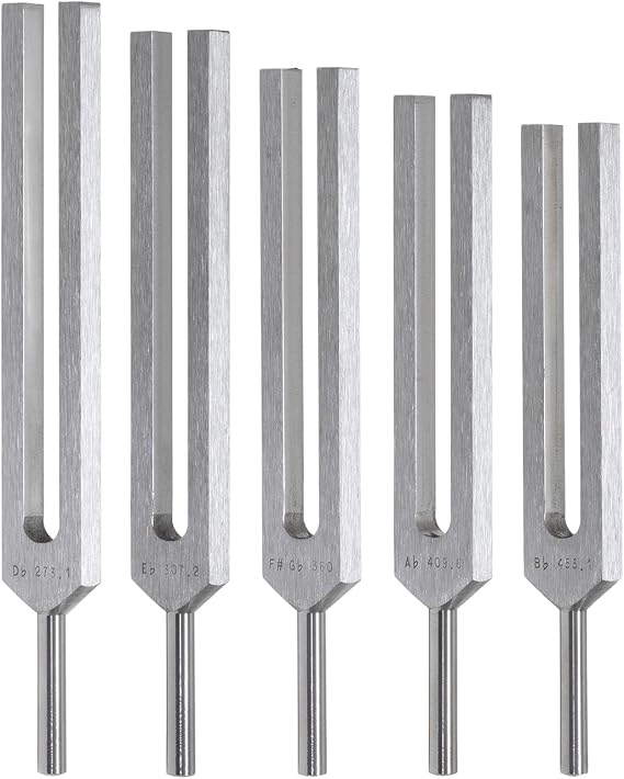 Biosonics Solar Harmonic - Modal Spectrum Upgrade Set of 5 Tuning Forks Includes 5 Tuning Forks & Velvet Pouch/Used with Solar Harmonic Spectrum Set/Great for Sound Healing