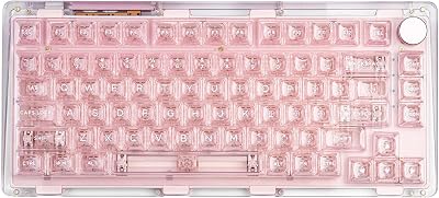 KiiBoom Phantom 81 75% Transparent Mechanical Gaming Keyboard, Hot Swappable Custom Gasket Keyboard with RGB Backlit, Clear Keycap, Rechargeable Battery, Triple Mode for WinMac Phantom 81 V2 Pink
