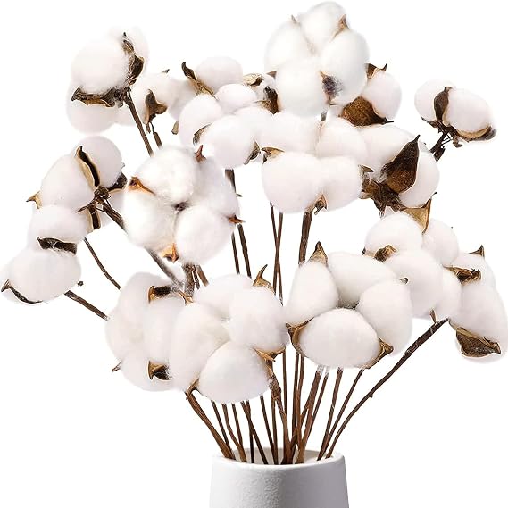 DOMESTAR Cotton Stems 8 Packs with 15 Bolls, Natural Dried Flowers