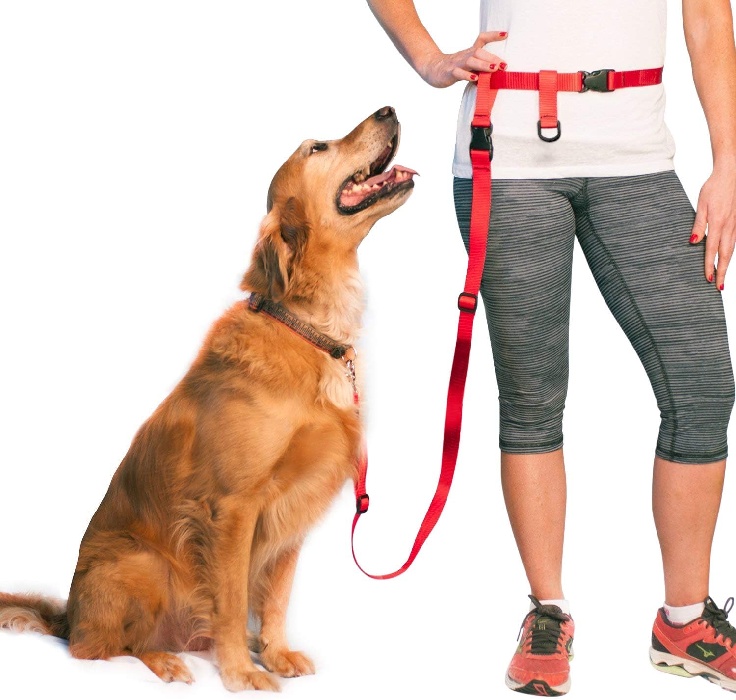 The Buddy System Made in USA Adjustable Hands Free Leash, Great for Running, Regular Dog System, Large, Red by The Buddy System