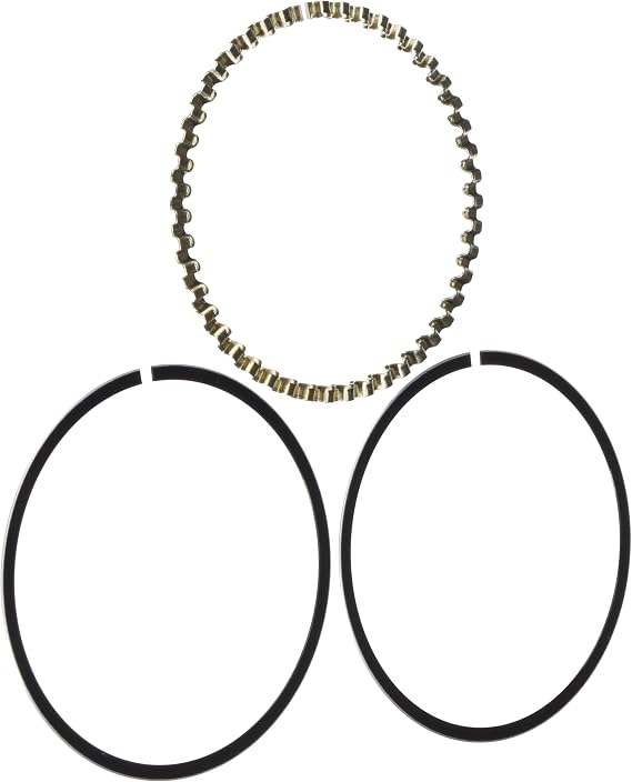 Hastings 2M6164010 2-Cylinder Piston Ring Set