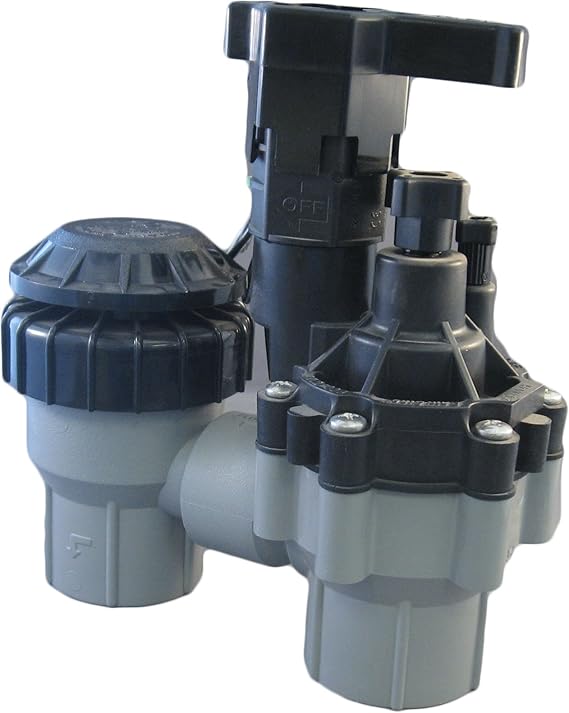 Rain Bird 100-ASVF 1" Inlet Residential Anti-Siphon Sprinkler Valve w/Flow Control