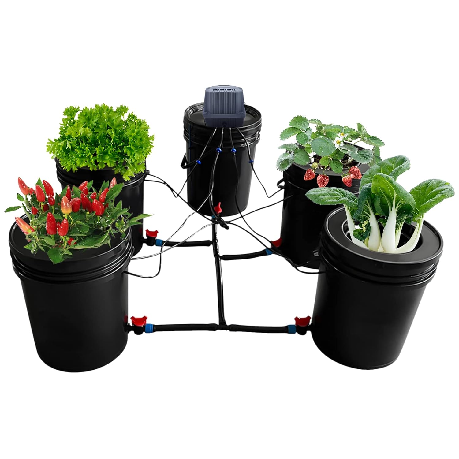 Hydroponics Grow System, 5 Pots Recirculating Deep Water Culture Kit, 5Gal 24.25LBS Multi Barrel Hydroponic Machine, 110V Home Soilless Cultivation Drip Irrigation System, With Lids, For Garden