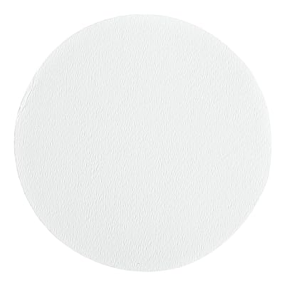 Whatman 1825-293 Glass Microfiber Binder Free Filter, 0.7 Micron, 19 s100mL Flow Rate, Grade GFF, 29.3cm Diameter Pack of 25