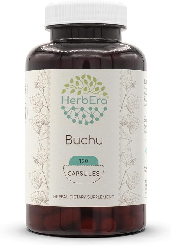 HerbEra Buchu 120 Capsules, 500 mg, Buchu (Agathosma Betulina) Dried Leaf (120 Capsules)