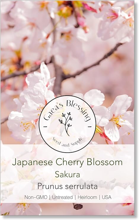 Gaea's Blessing Seeds - Japanese Cherry Blossom Tree Seeds - Sakura Tree Seeds - Prunus serrulata - Non-GMO Tree Seeds with Easy to Follow Instructions, Heirloom, Open-Pollinated, Untreated