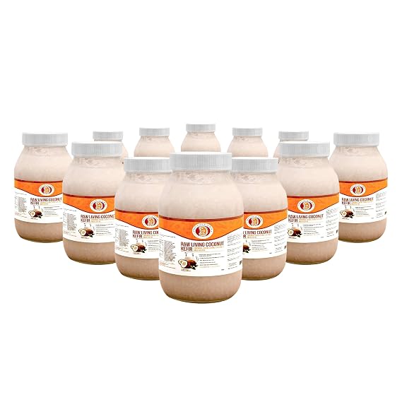 Living Coconut Milk Kefir Organic, Vegan, Low-Sugar Probiotic for Gut  & Digestion Raw Fermented Coconut Drink (Case) | by This Chick Is Raw