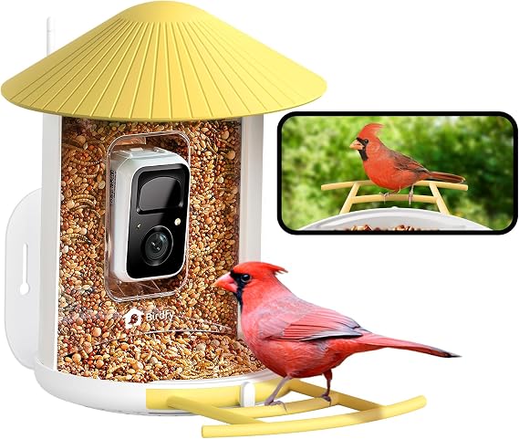 NETVUE by Birdfy Smart Bird Feeder with AI Camera, Auto Capture Videos & Live Steam, Wireless Wildbird Watching, Outdoor Backyard Birder(AI by Subscription) Yellow