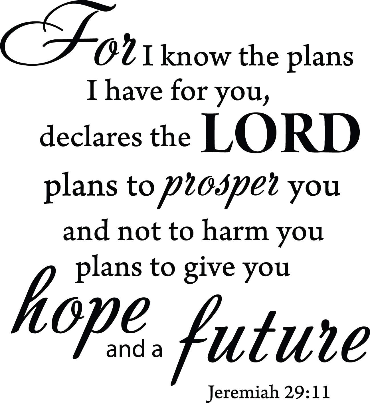 Decaltor Glossy Black 22 x 20 for I Know The Plans I Have for You declares The Lord Jeremiah 29:11 Quotes Sayings Words Art Decor Lettering Vinyl Wall Art Inspirational Uplifting Bible