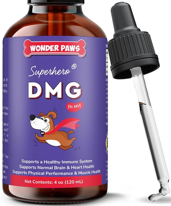 Premium DMG for Dogs DMG Liquid to Support Immune Health, Skin, Stamina, Muscles, Stress & Performance - Dimethylglycine (DMG) for All Ages, Sizes & Breeds 4oz