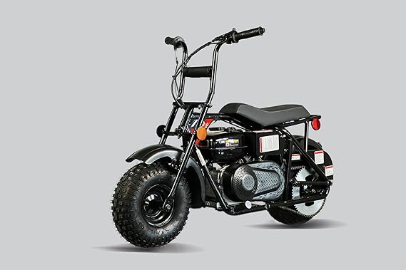 Trailmaster Storm 200 Mini Bike Blast from The Past, Quailty Engine, Welded Frame, Disk Brake
