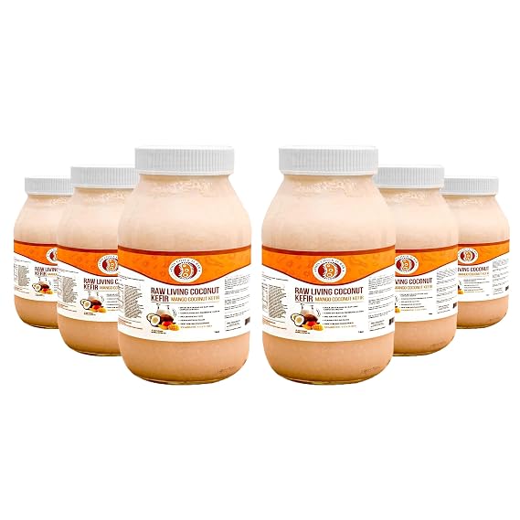 Mango Coconut Kefir Organic Raw Probiotic Drink for Gut Health & Digestion | Living Cultures, Tropical Flavor | by This Chick Is Raw Half Case