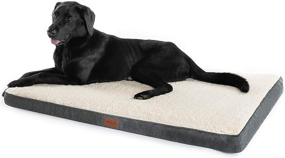 Orthopedic Dog Bed (L, 36x27x3 inches) for Small, Medium, Large Pets Up to 75 lbs - Foam Dog Bed with Plush Sherpa Top - Washable Cover - Grey