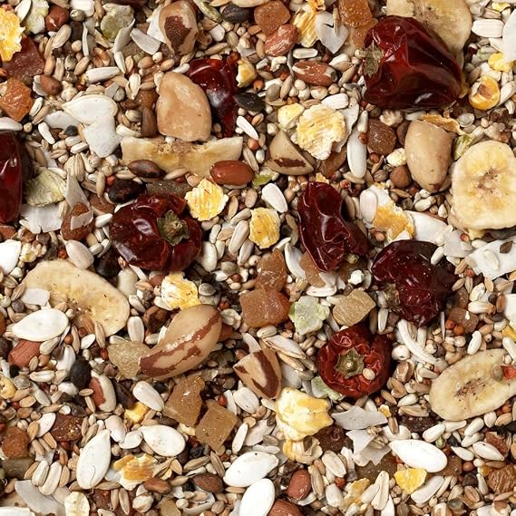 Johnston & Jeff Low Sunflower Diet for African Greys Parrot Food, 12.75 kg