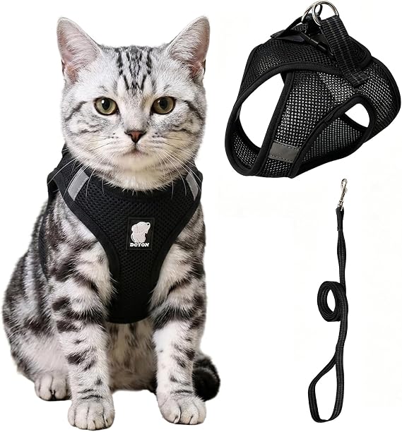 Heywean Cat Harness and Leash Escape Proof, Soft Breathable Mesh Kitty Walking Vest, Adjustable Step-in Kitten Harness Set with Reflective Strip for Small Cats