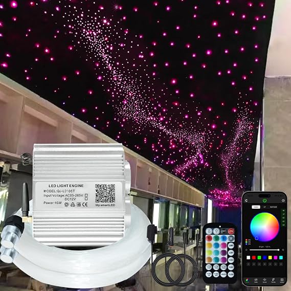 Firework 16W Dual Head Twinkle Fiber Optic Lights Kit, Bluetooth RGBW LED Starlight Headliner Kit for Car Home Ceiling Star Ceiling Sky Light with APP/Remote Music Mode 920pcs 0.03in 9.8ft/3m