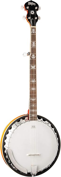 Washburn Americana B10, Banjo