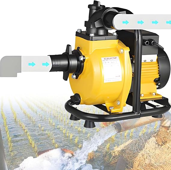 Villa Water Supply Solar Pump,DC 48 V 400 W/72 V 800 W,Remote Rural Water Supply Pump,6 m2/h 32 m2/h Pond Water Circulation Pump,400W48V (800W72V)