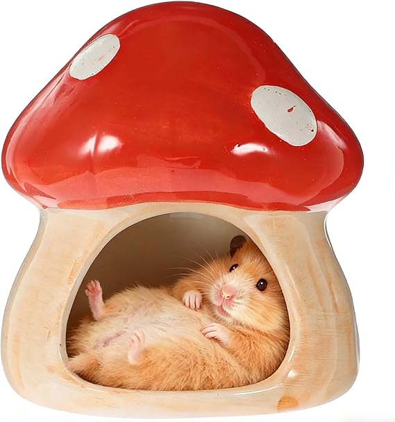 1 Piece Ceramic House for Hamsters Unique Hamster House Ceramic Ceramic Hamster Hideout Mushroom-Shaped Hamster House and Habitats for Gerbils Mice Chinchillas Hamster Hide Small