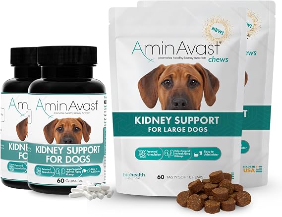 AminAvast 1000mg Kidney Support Bundle for Large Dogs Includes 120 Sprinkle Capsules and 120 Soft Chews Supports Normal Kidney Function and Urinary Health