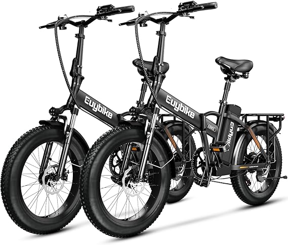 bluebiko 1000W Folding Electric Bike, 48V 20AH Large Removable Battery E Bike, 80 Miles Max Range, 20" Fat Tire Electric Bike for Adults, Adult Electric Bicycles for Commute Beach Snow