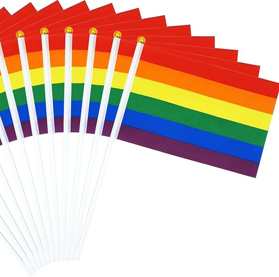 12 Pack Pride Flags Rainbow Pride Flag Small Flag Pride Month Accessories Gay LGBTQ Stick Flag USA American Rainbow Flag Hand Held Flags Decorations for Parades Rainbow Festival