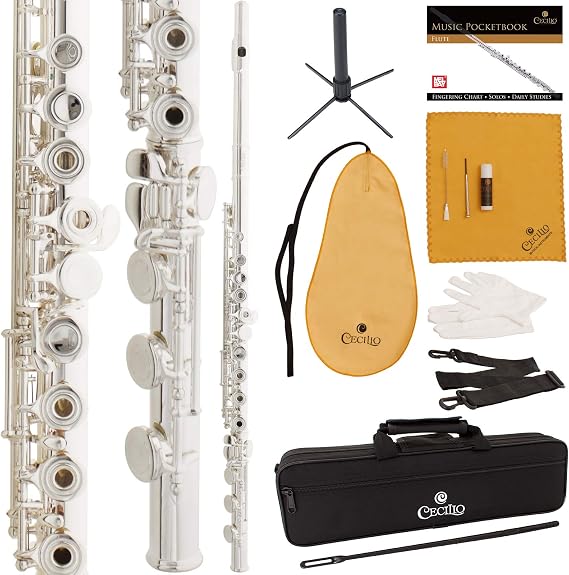 Cecilio Open Hole C Flute - 17 Keys with B-Foot Joint, Offset G & Split E Key, Professional Flutes for School Band, Practice & Performance, Silver