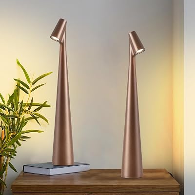Cordless Small Table Lamps Set of 2,3 Levels Brightness Portable Desk Lamp,Rechargeable Battery Lights for Outdoor, Restaurant, Bedside, Baby Night Light,GiftsBrown