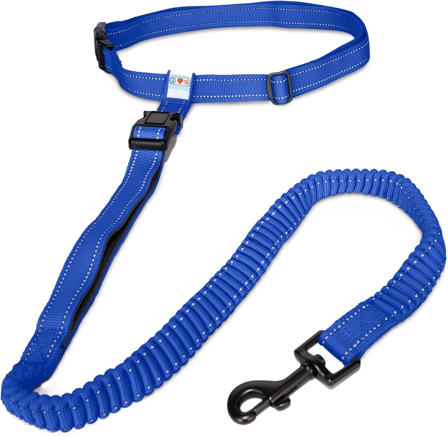 Pawtitas Hands Free Dog Running Leash Blue