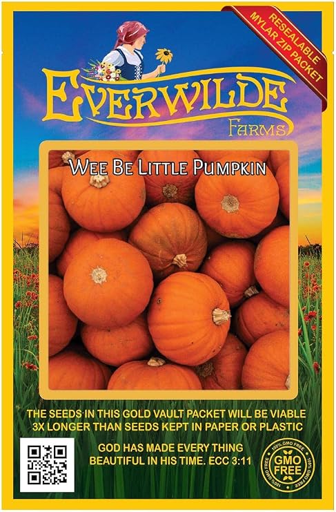 Everwilde Farms - 20 Wee Be Little Pumpkin Seeds - Gold Vault Seed Packet
