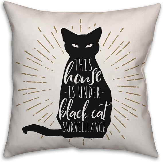 Black Cat House Throw Pillow | Decorative Pillows for Living Room Couch Bed Sofa, Fluffy Soft Cushion |, 18x18