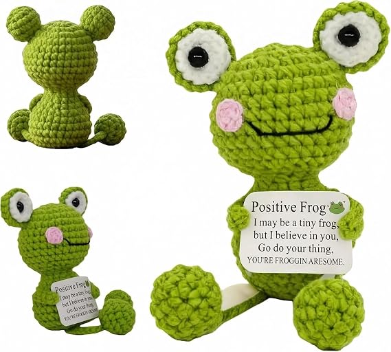 Positive Frog Emotional Support Handmade Birthday | Handmade Cheer Up Love Gifts for Girlfriend Boyfriend Wife Women Her Him Christmas Valentine