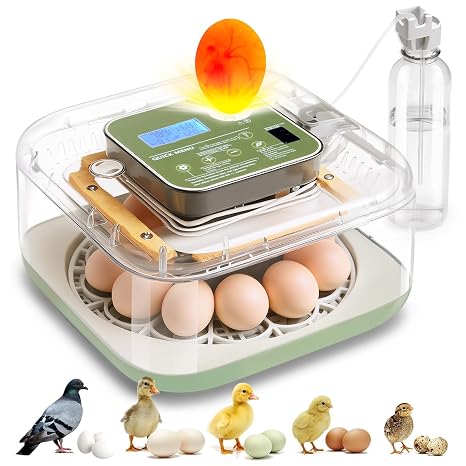 Incubator for Hatching Eggs Automatic Humidity and Temperature Control 12 Eggs Incubator, Digital Display Auto Turner 360 View Egg Candler for Chicken, Duck and Quail Bird Eggs